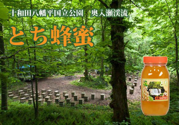 十和田八幡平国立公園奥入瀬渓流のとち蜂蜜へ